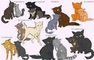 Favorite warrior cat couple? Favorite warrior cat couple?