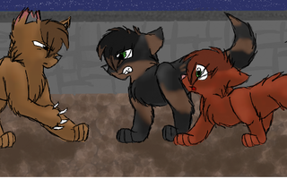 What warrior cat rouge do you like the best? What warrior cat rouge do you like the best?