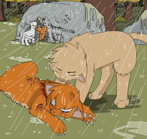 Saddest Warrior cats death during dark forest battle Saddest Warrior cats death during dark forest battle