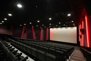 Do you ever go to cinema alone? Please comment Do you ever go to cinema alone? Please comment