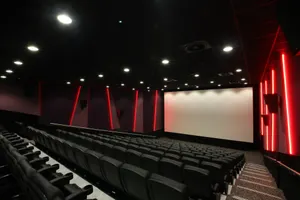 Do you ever go to cinema alone? Please comment Do you ever go to cinema alone? Please comment