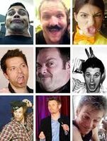 What is your Fandom? What is your Fandom?