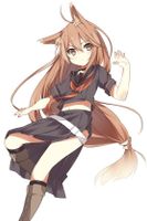 What Should I Do Next On Qfeast ? What Should I Do Next On Qfeast ?