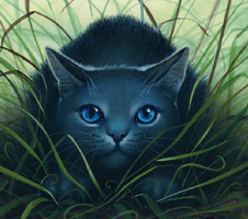 what warrior cat leader do you like best? what warrior cat leader do you like best?