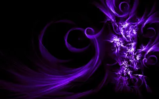 which colour: black or purple? which colour: black or purple?