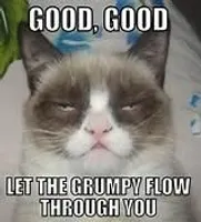 Grumpy Cat Grumpy Cat