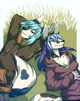 Which furry couple? (1) Which furry couple? (1)