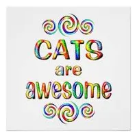 favorite type of cat? favorite type of cat?