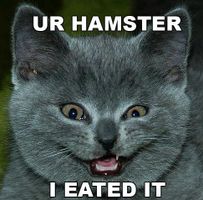 Do you think Creepypasta is stupid? Do you think Creepypasta is stupid?