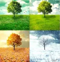 Best season Best season