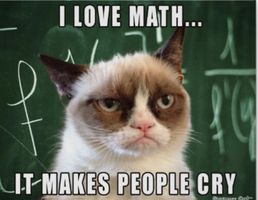Do you love grumpy cat? Do you love grumpy cat?