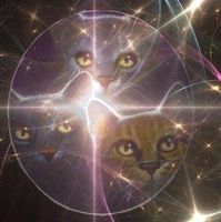 Who is the best warrior cat couple? Who is the best warrior cat couple?
