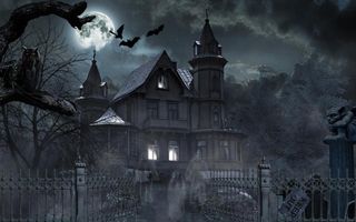 Would you like to explore a haunted house? Would you like to explore a haunted house?