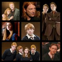 Which Weasley is your favorite? Which Weasley is your favorite?