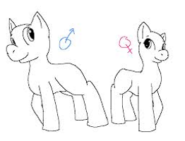 Which are you?A colt/boy or a mare/girl? Which are you?A colt/boy or a mare/girl?