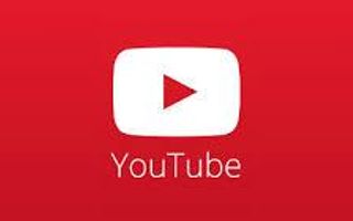 Which Youtuber type do you like better?
