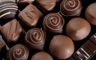 What's your favorite kind of chocolate? What's your favorite kind of chocolate?