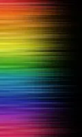 Are you straight, gay ,or bi