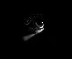 Can you lucid dream (aka being able to control your character or surroundings in your dreams)? Can you lucid dream (aka being able to control your character or surroundings in your dreams)?