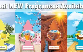 Which Little Trees car air freshener of late 2015 is the best? Which Little Trees car air freshener of late 2015 is the best?