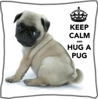 Which Pug Be Cuter? Which Pug Be Cuter?