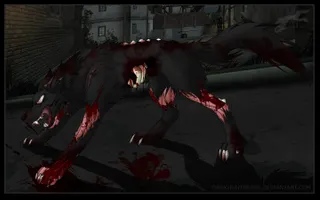 Wolves or Foxes or Coyotes Wolves or Foxes or Coyotes