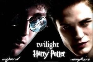 Harry Potter? or Twilight? Harry Potter? or Twilight?
