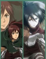Sasha Or Mikasa Sasha Or Mikasa