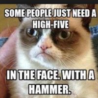Do you like grumpy cat? Do you like grumpy cat?