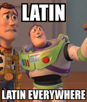 Which Language Should I Learn? Which Language Should I Learn?