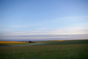 What is your favorite time of day? What is your favorite time of day?