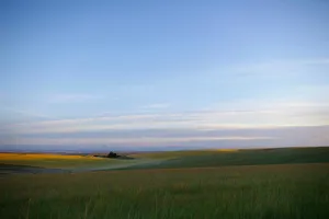 What is your favorite time of day? What is your favorite time of day?