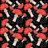 should i change my name to ,Mushroom Gogy,