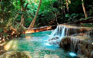 Water Or Nature Water Or Nature