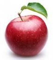 which apple logo is the best? which apple logo is the best?