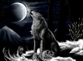 Which keep calm Wolf picture? Which keep calm Wolf picture?