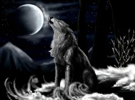 Which keep calm Wolf picture? Which keep calm Wolf picture?