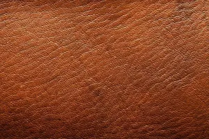 Which Little Trees Leather car freshener is better? Which Little Trees Leather car freshener is better?