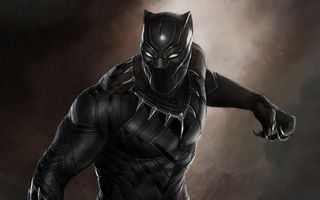 Please rate Black Panther movie Please rate Black Panther movie
