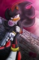 Which girl is better for Shadow The Hedgehog? Which girl is better for Shadow The Hedgehog?