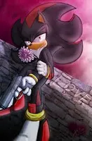 Which girl is better for Shadow The Hedgehog? Which girl is better for Shadow The Hedgehog?