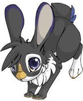 Penguins or Bunnys? Penguins or Bunnys?