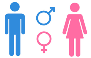 Your Gender? Your Gender?