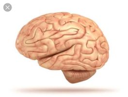 Which fictional high school brain would you be? Which fictional high school brain would you be?
