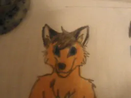 Is i a fox?
