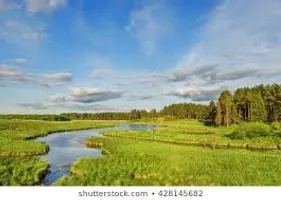 water or land or river(both) which do you like best, and why? water or land or river(both) which do you like best, and why?
