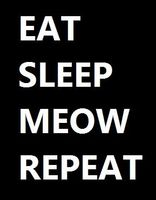 Eat Sleep Meow Repeat Eat Sleep Meow Repeat