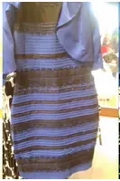 THE DRESS! THE DRESS!
