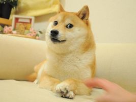 How do you pronounce doge? How do you pronounce doge?