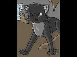 Feathertail's Death Animation Feathertail's Death Animation
